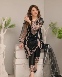 3 Pcs Women's Stitched Organza Embroidered Suit
