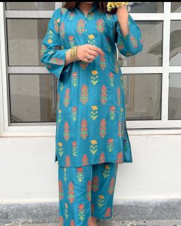 2 Pcs Women’s Stitched Linen Printed Suit