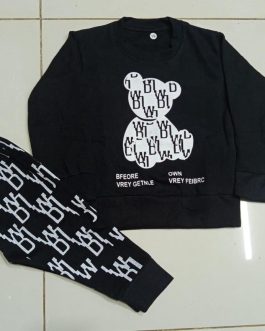 2 Pcs Boy’s Fleece Printed Sweatshirt Tracksuit