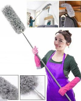 Dust Cleaning Brush